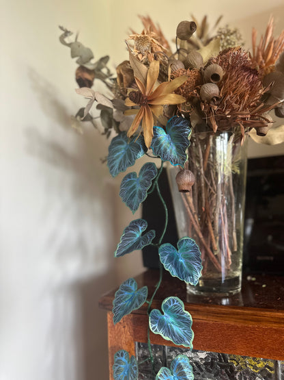 Bluebella Vine