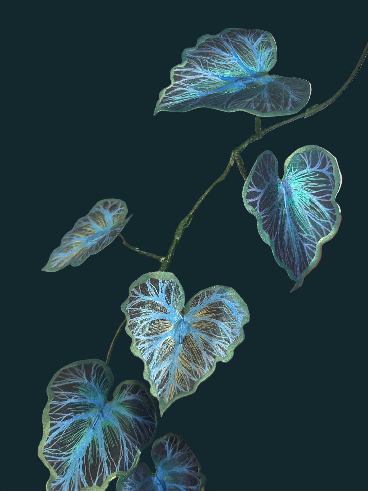Bluebella Vine