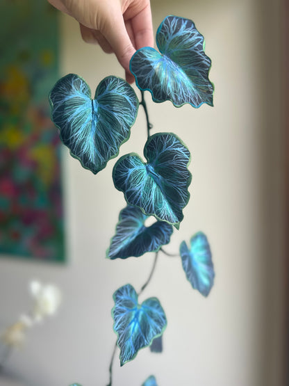 Bluebella Vine