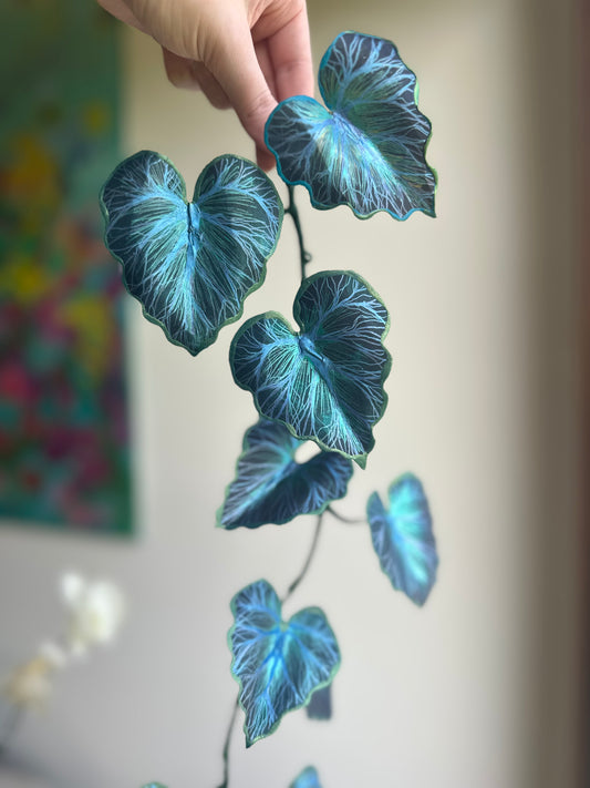 Bluebella Vine