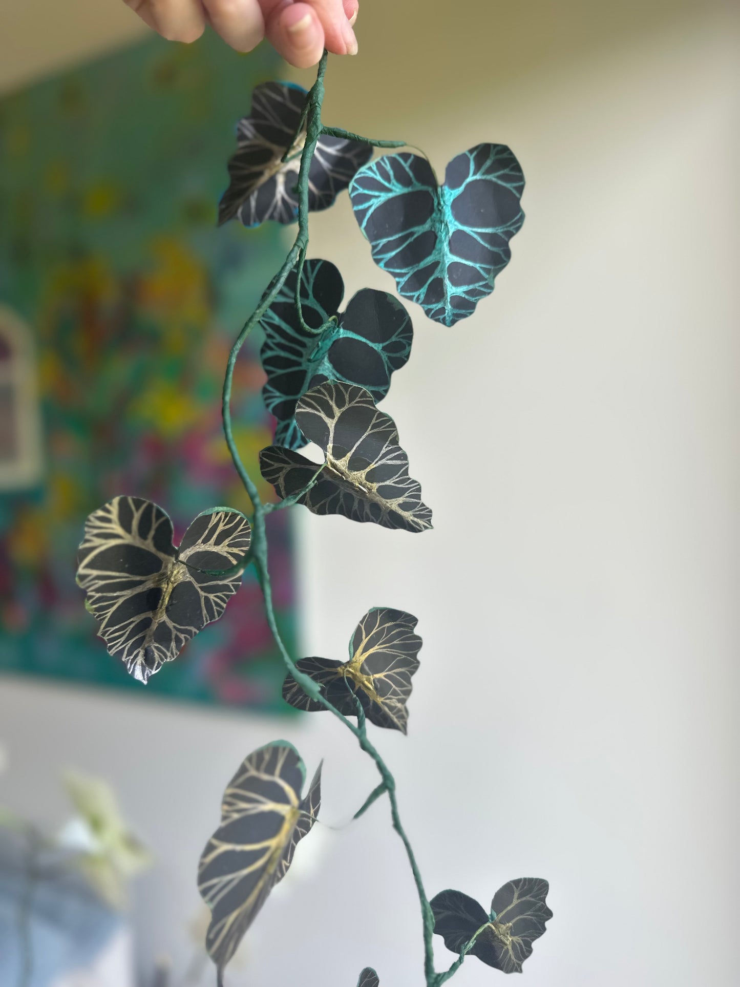 Bluebella Vine