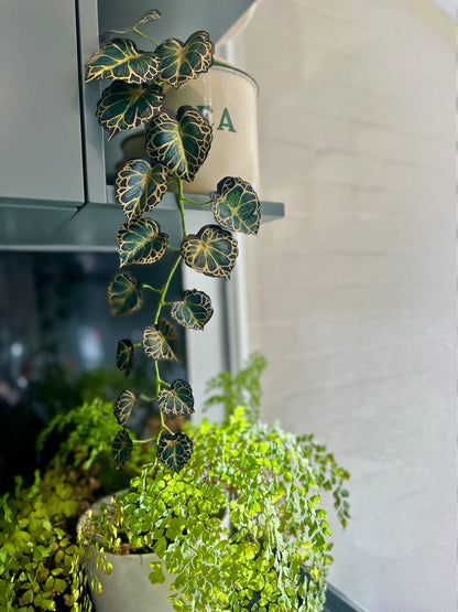 Potted paper plant with decorative painted and handdrawn leaves in a home setting