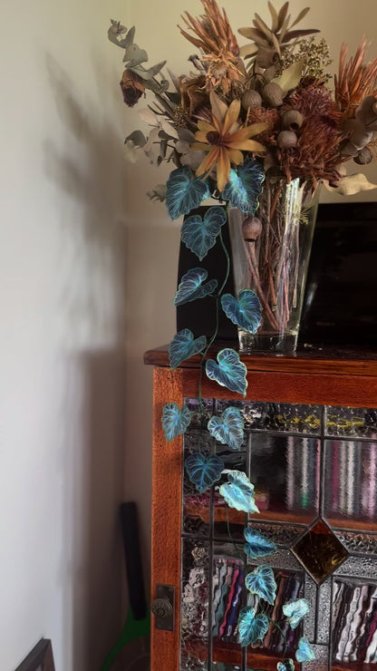 Bluebella Vine