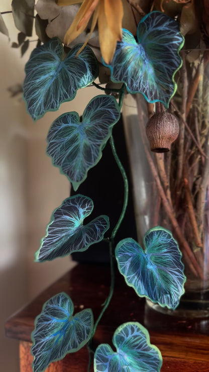 Bluebella Vine